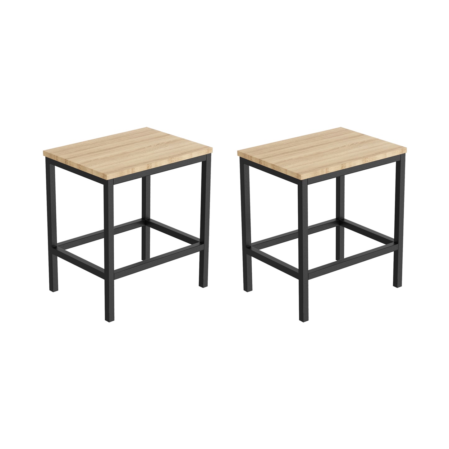 Lot de 2 Chaises de Style Industriel en Métal Mat et MDF